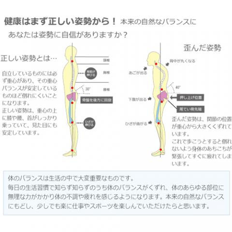 Lofe アーチサポート アーチサポートインソール ロフェ アトラストア 日本最大級の鍼灸 柔整 介護用品のプロ向け卸通販